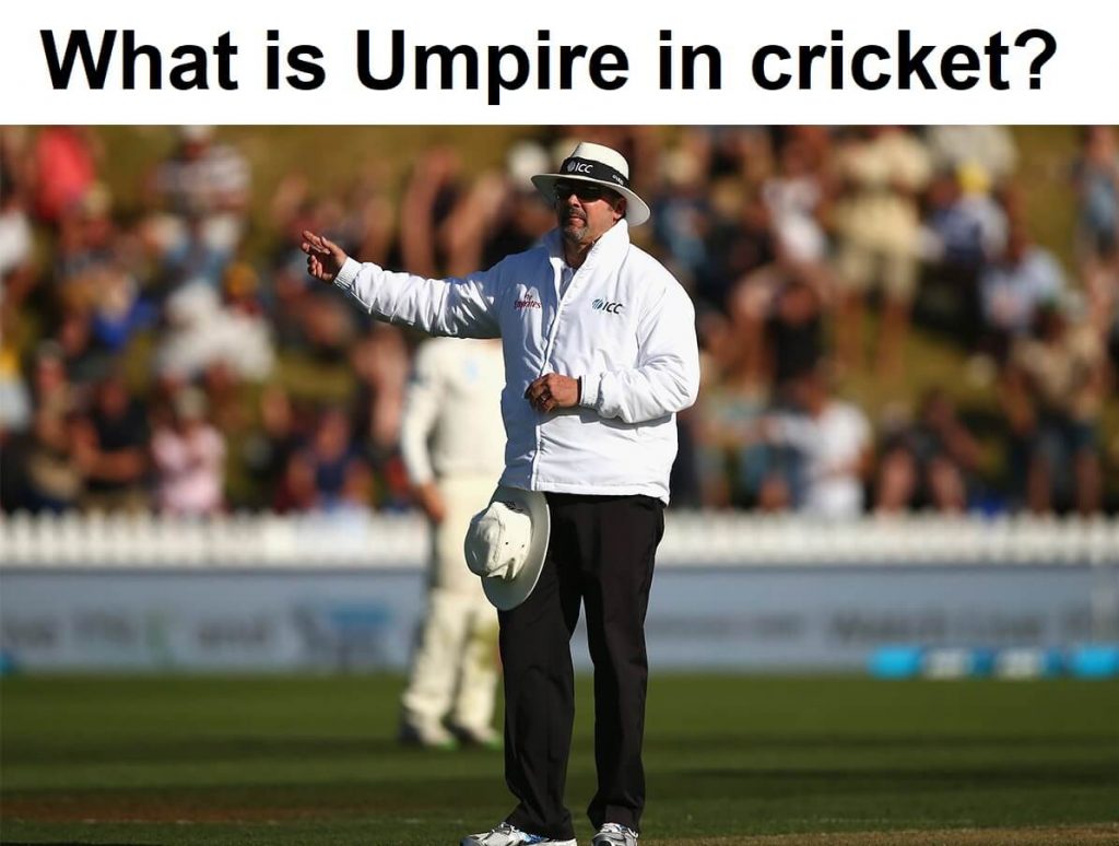 Umpires in cricket are the referees of the game play