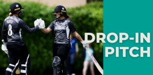 What are drop-in pitches in the sport of cricket?