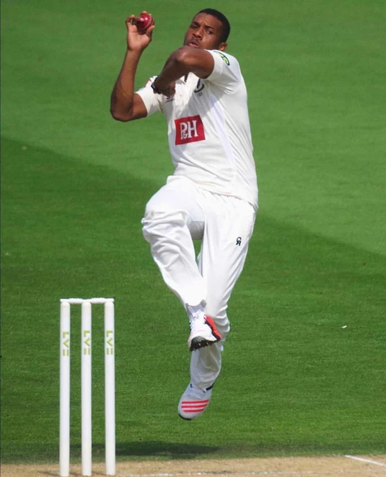 Why do cricketers wear long pants betting dog