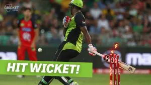 What is hit wicket in cricket