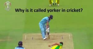 Yorker in cricket