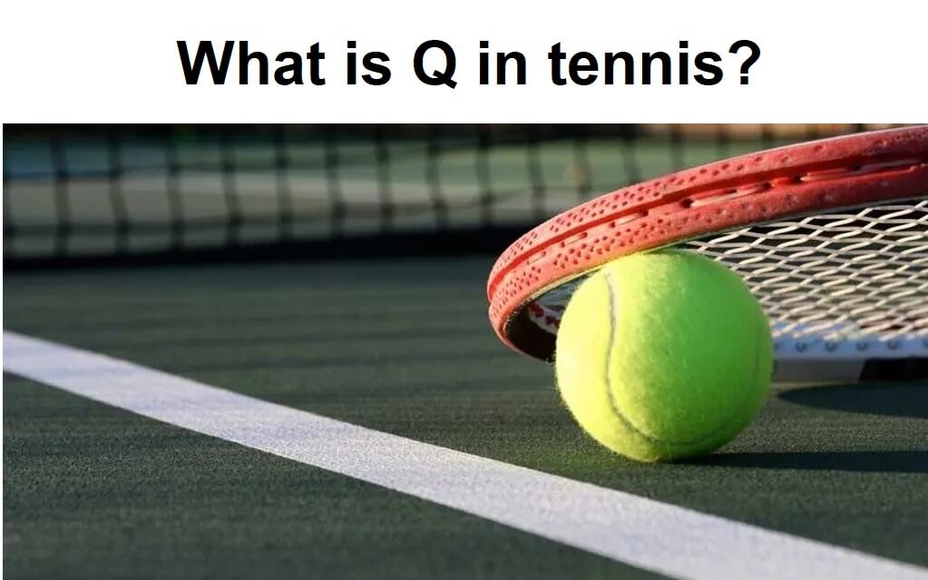 what-does-q-mean-in-tennis-betting-dog