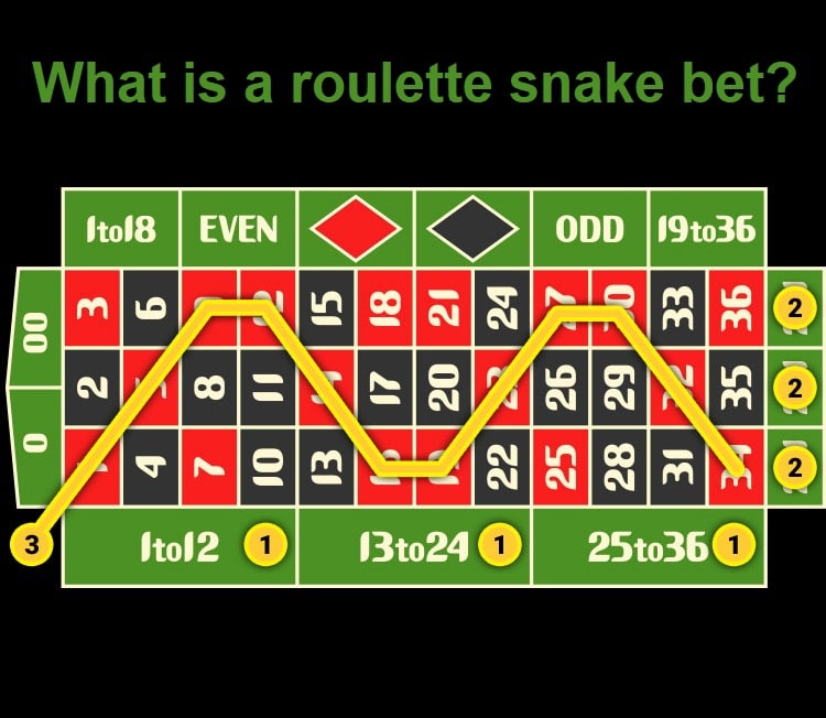 What is a roulette snake bet?