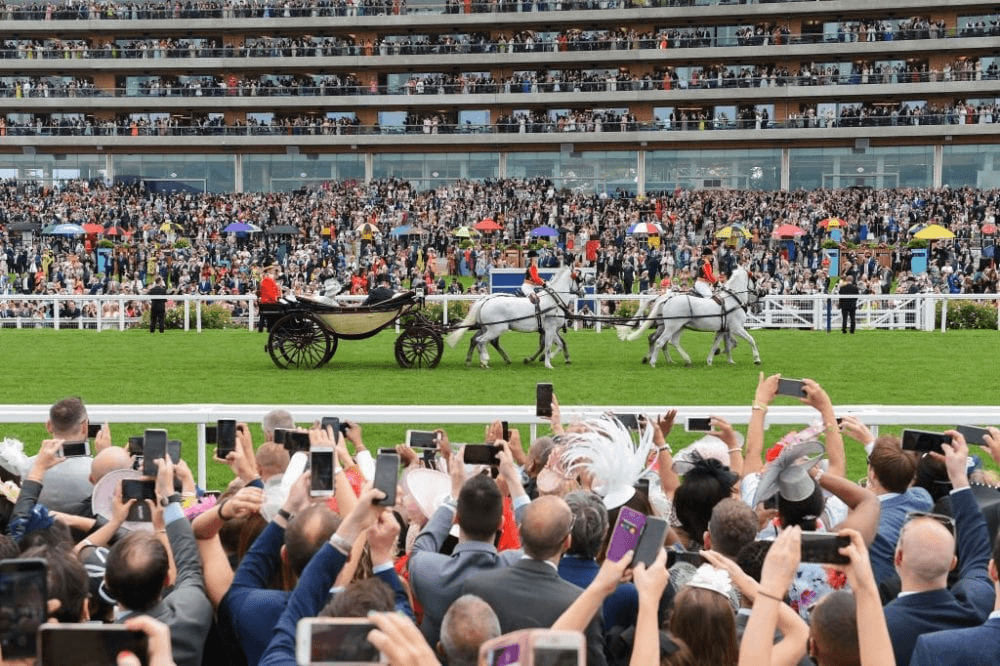 How to place a bet at Royal Ascot ?