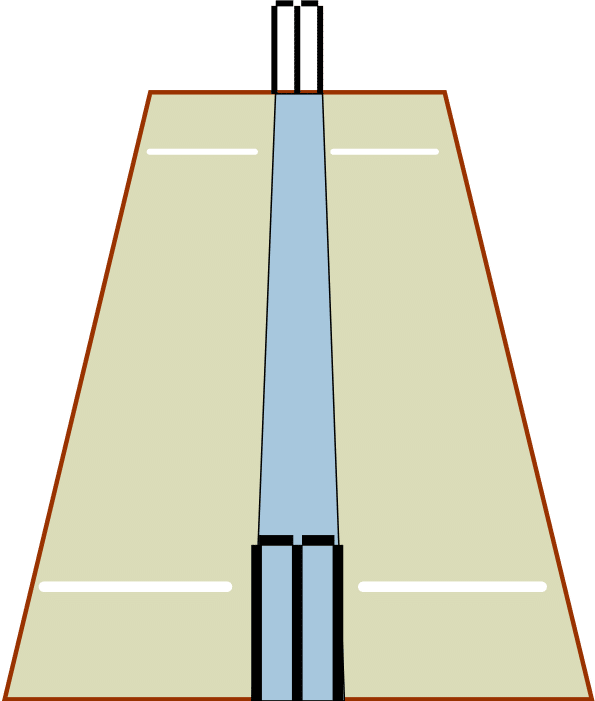 What is a line in cricket?