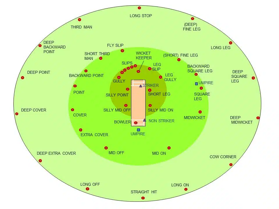 Why is there a cow corner in cricket?