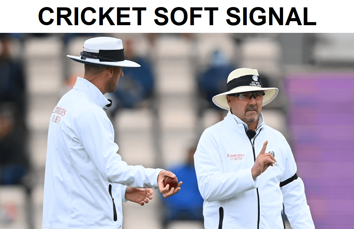 Why does cricket need a soft signal?