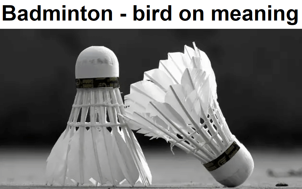 What is the “bird on” call in badminton?