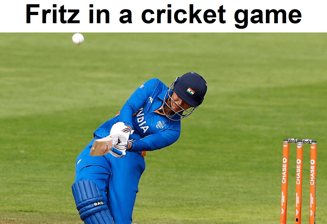 What is fritz in the game of cricket?