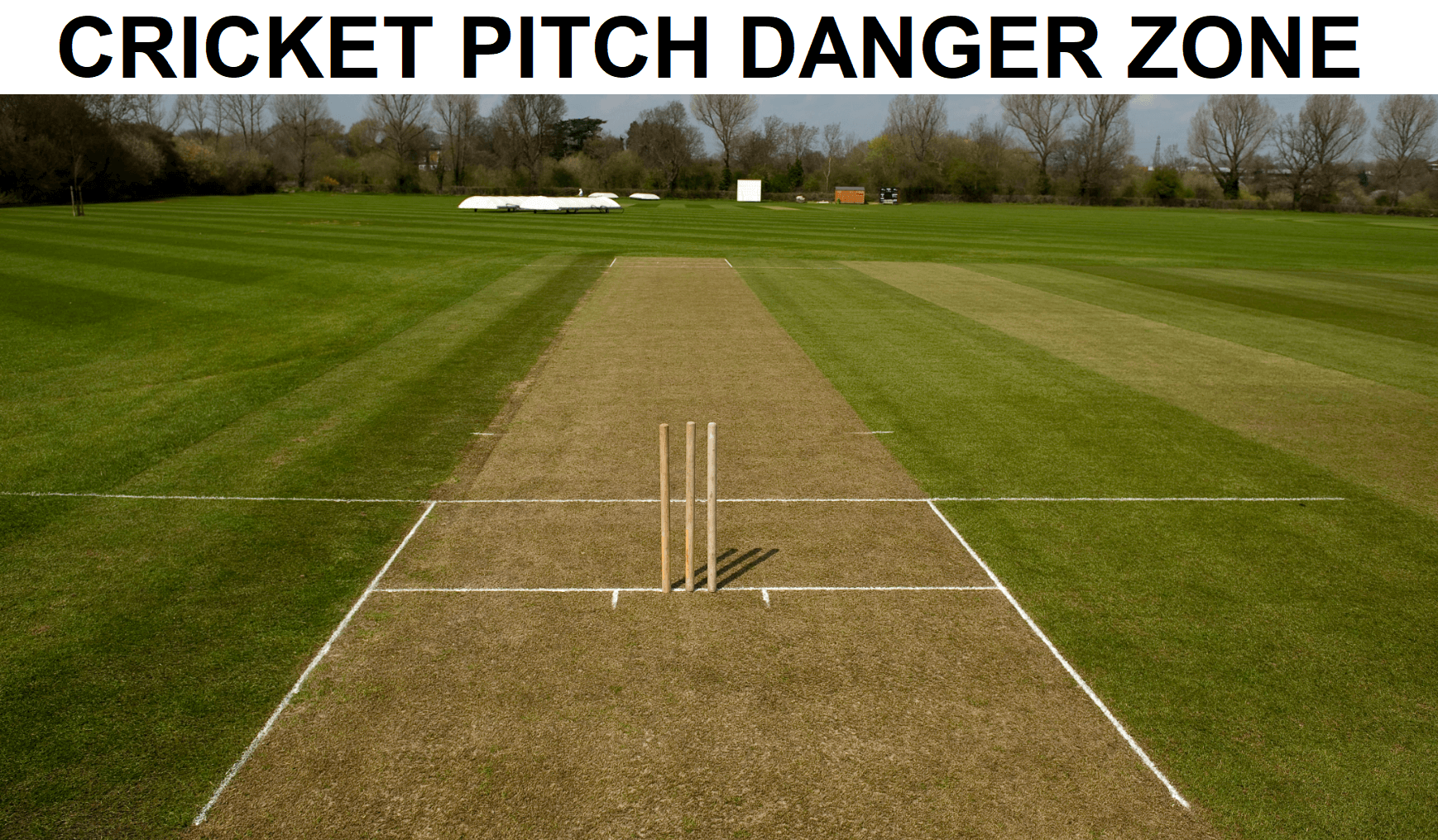 What is the danger zone of a cricket pitch?
