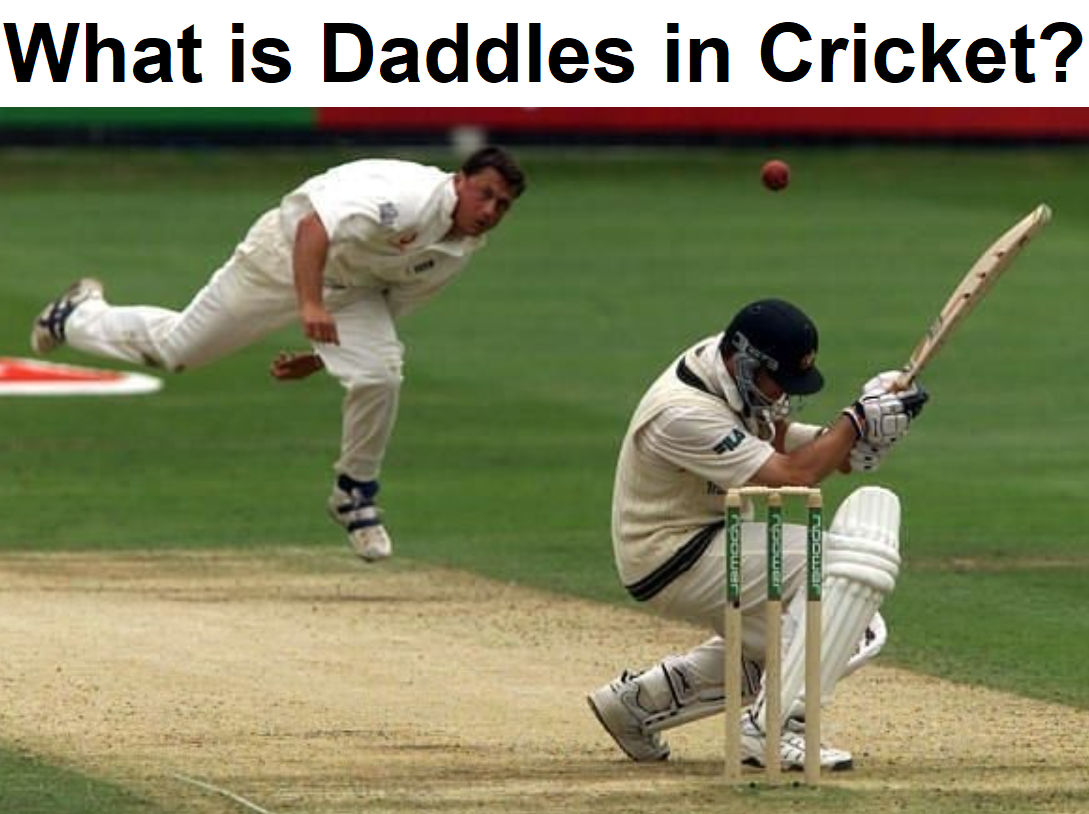 What does Daddles represent in the sport of cricket?